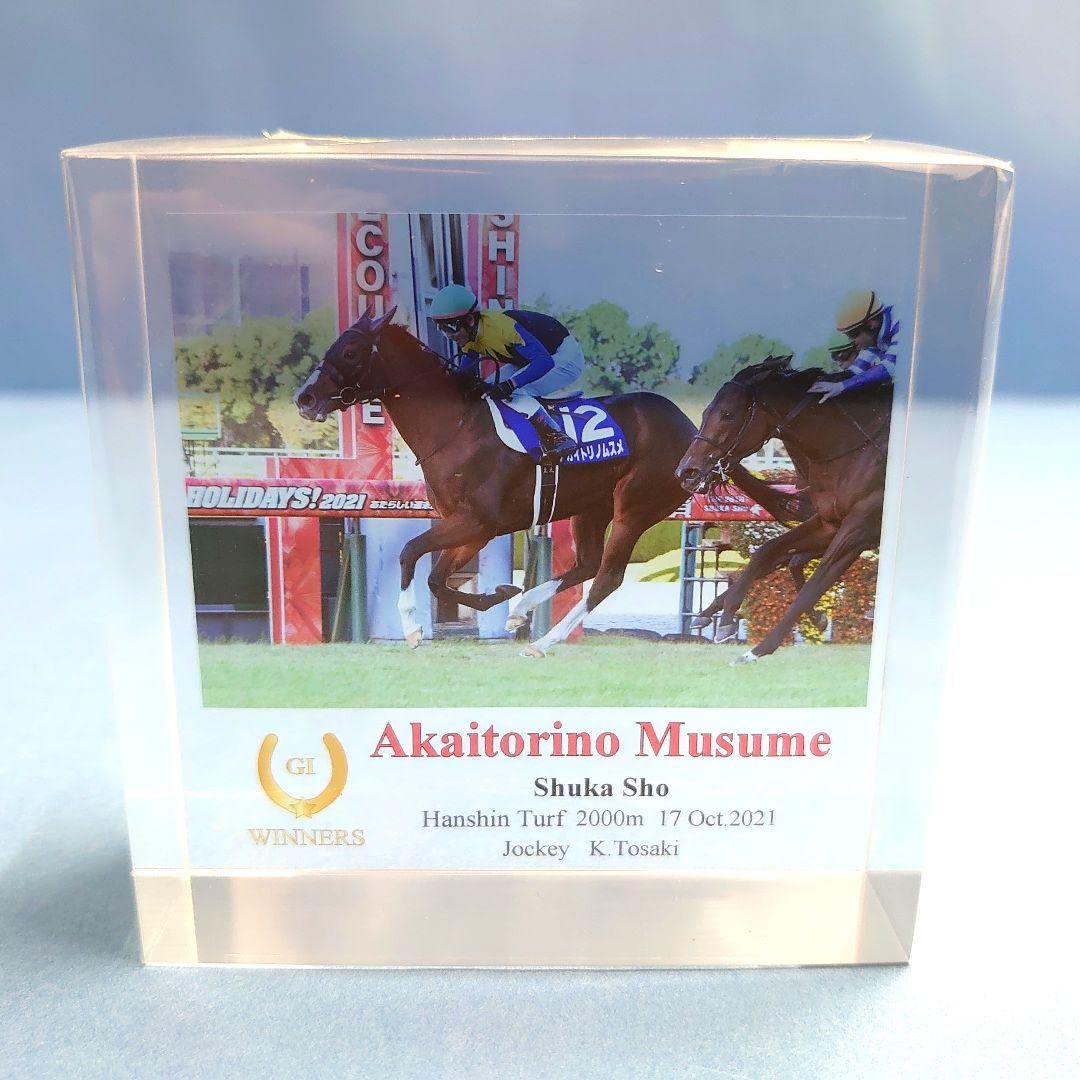 Amazon.co.jp: アクリルオブジェ アカイトリノムスメ 競馬 ぬいぐるみ